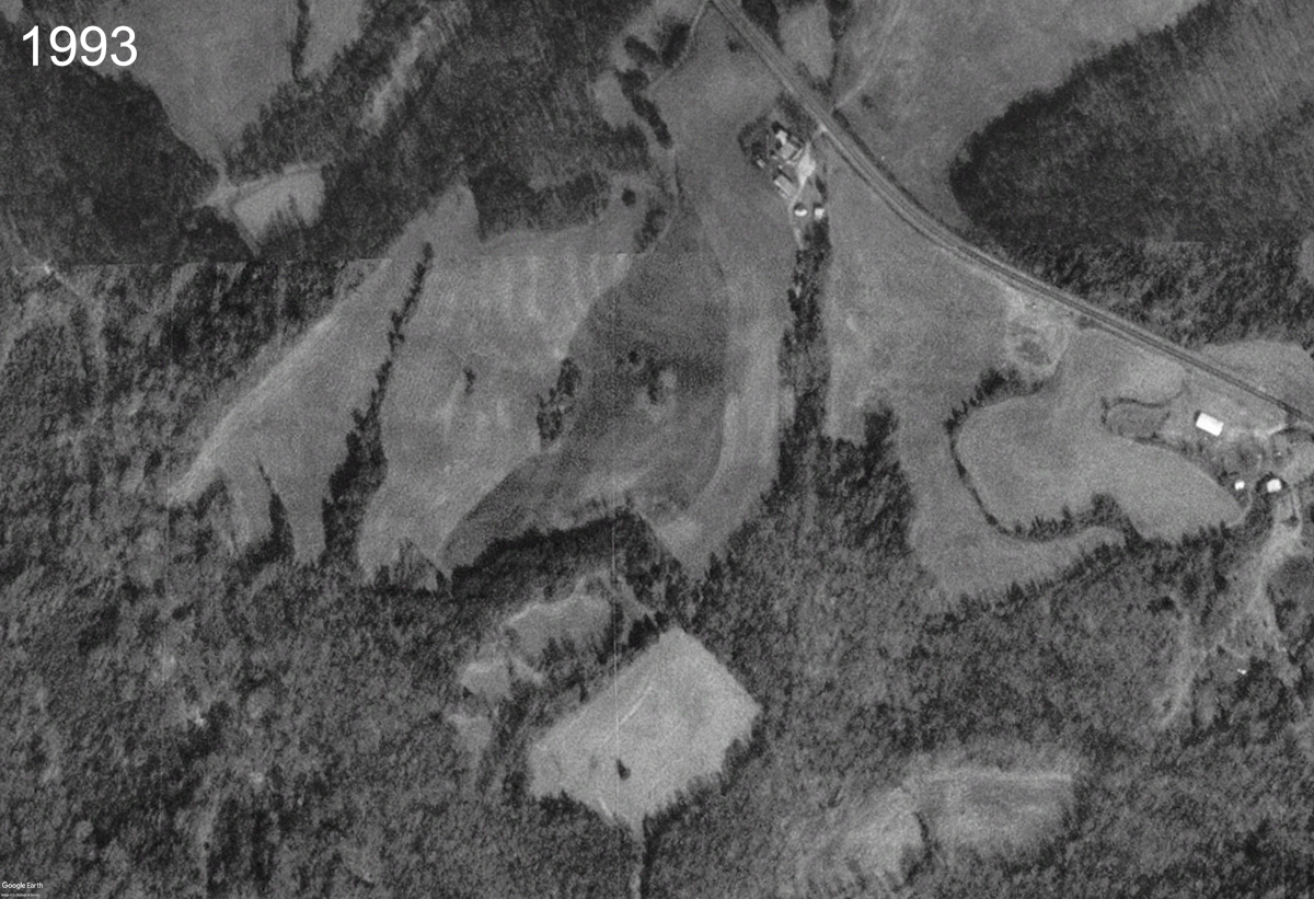 TRE Satellite View from 1993