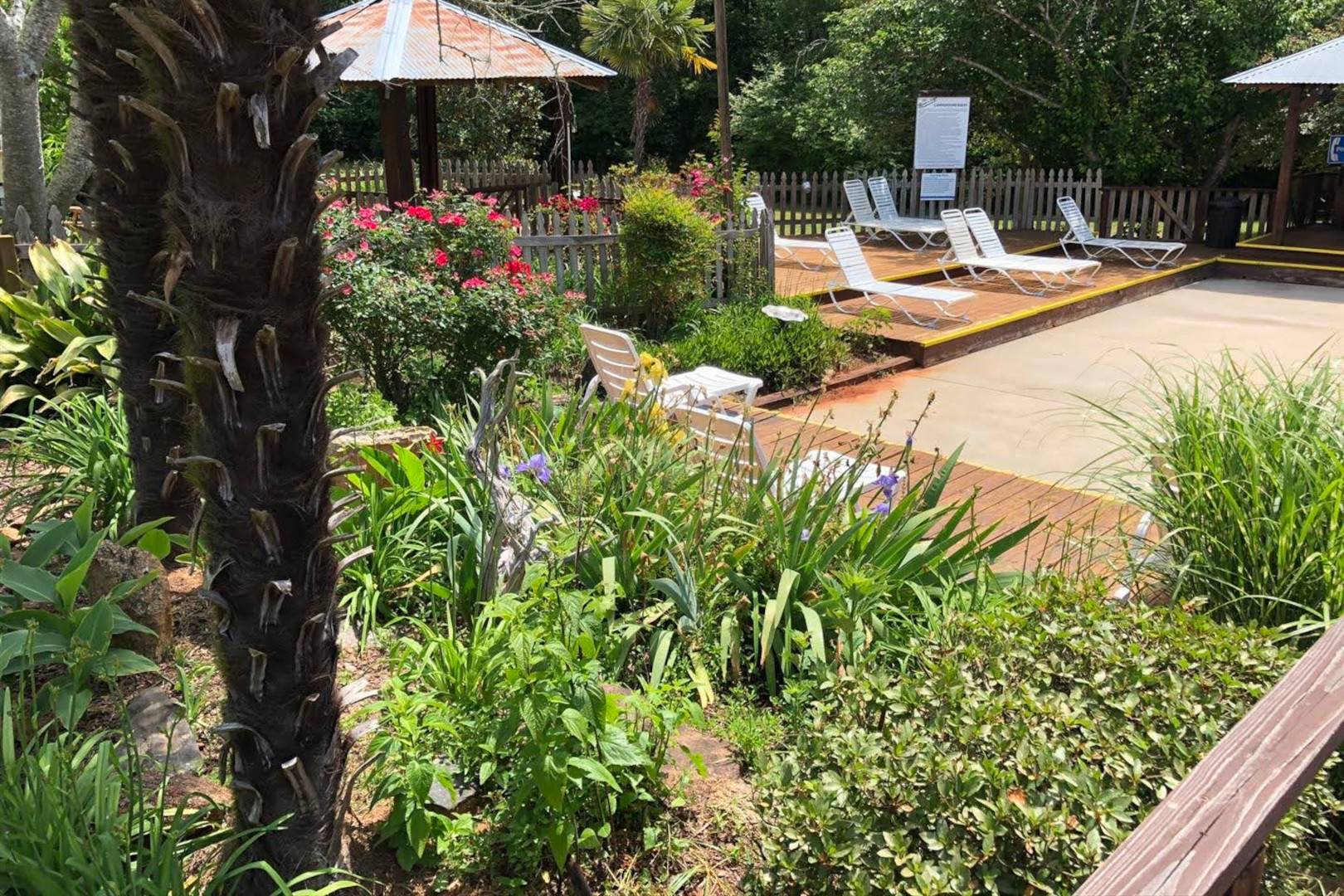 Picture of the Pool Area 11